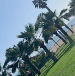 Meet your Posher, Celine